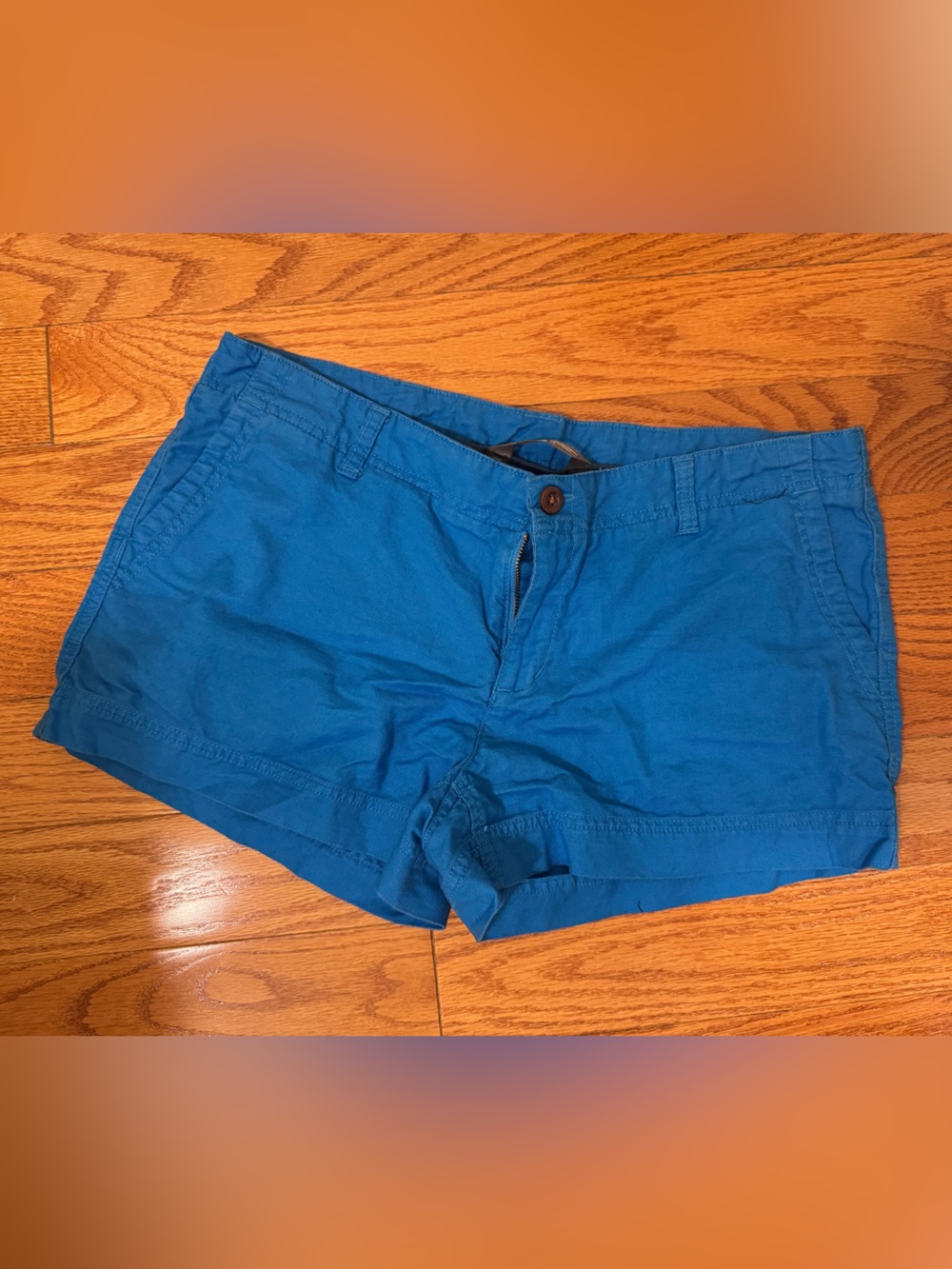 The North Face Women’s Teal Blue Cargo Shorts